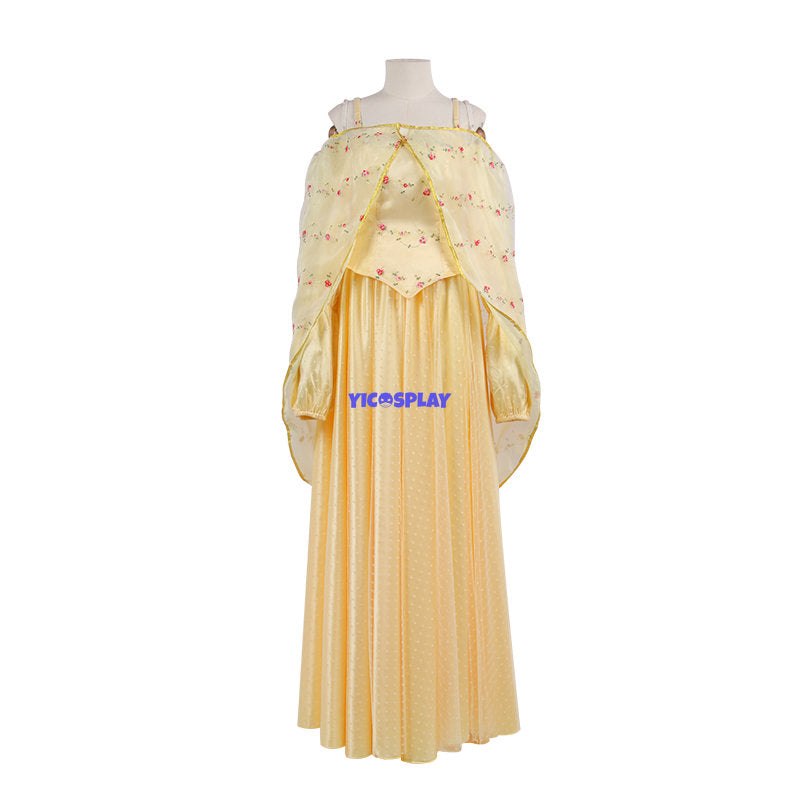 Queen Padme Amidala Meadow Picnic Cosplay Dress – Yicosplay